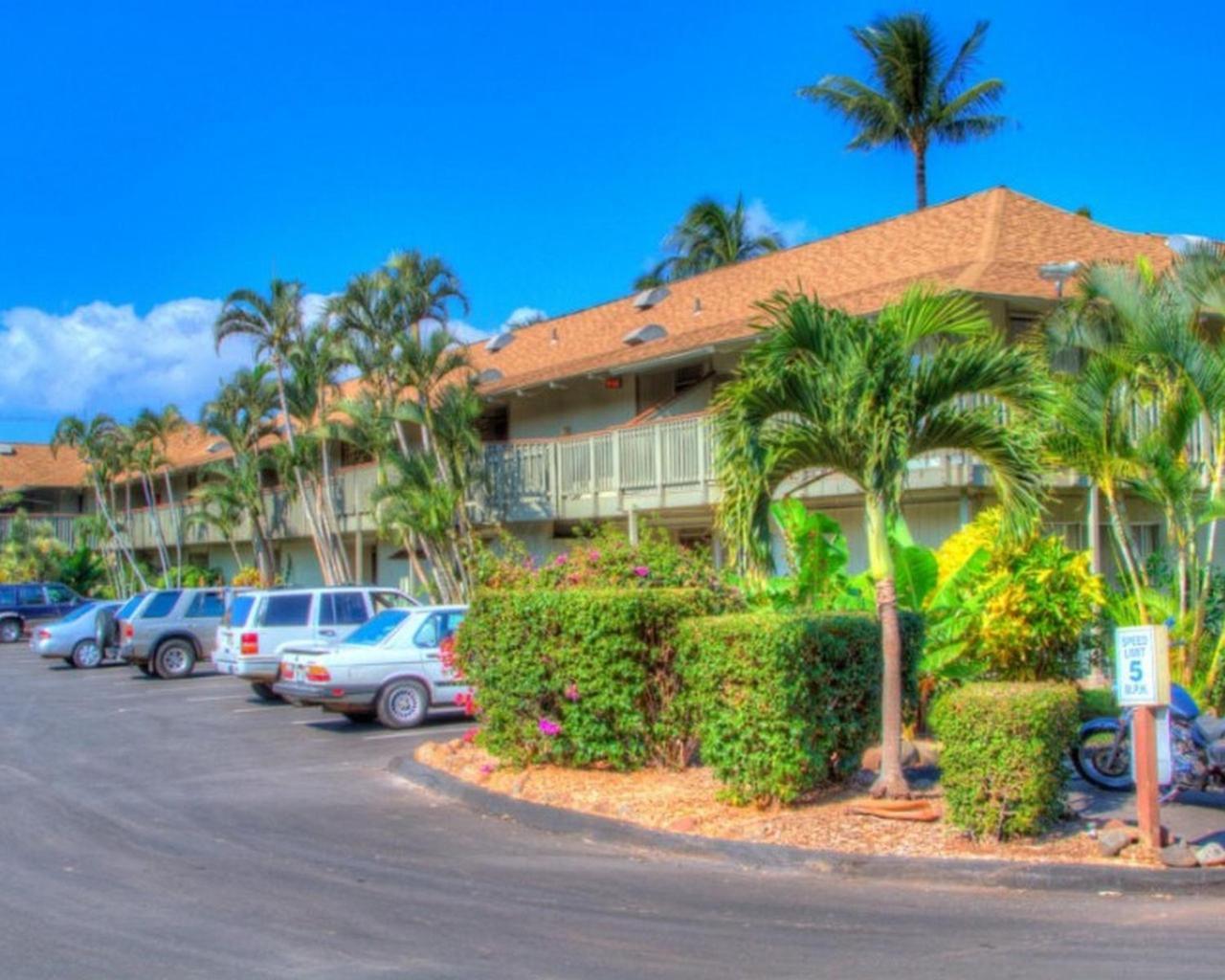 Kihei Bay Surf 130- Garden View Studio, Free Parking Bagian luar foto